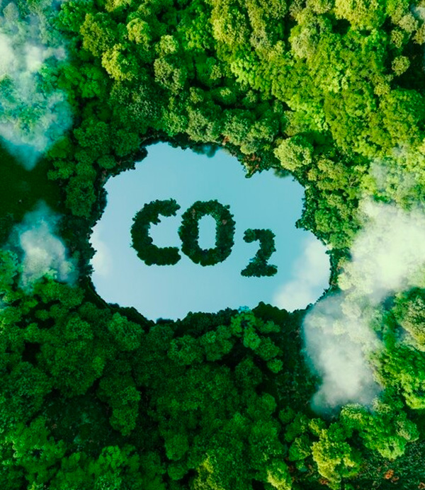 SEG_Home_CO2_2 copy SEG Home CO2